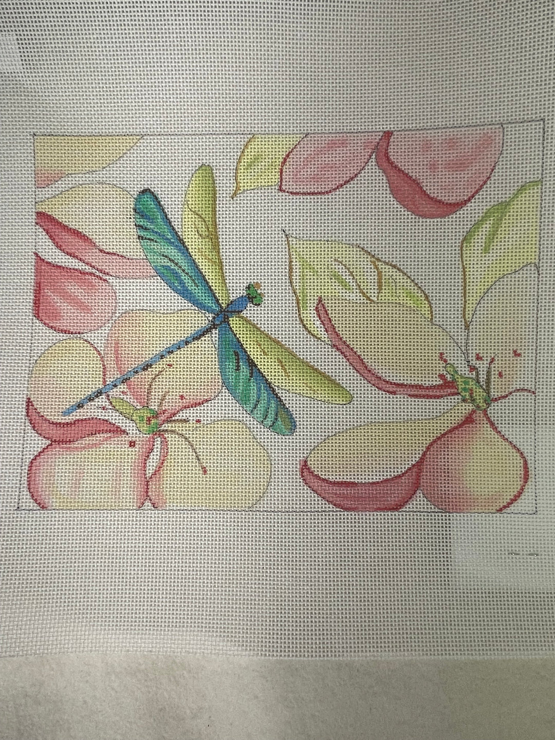 * Colors of Praise FF216 Dragonflies/ Magnolias