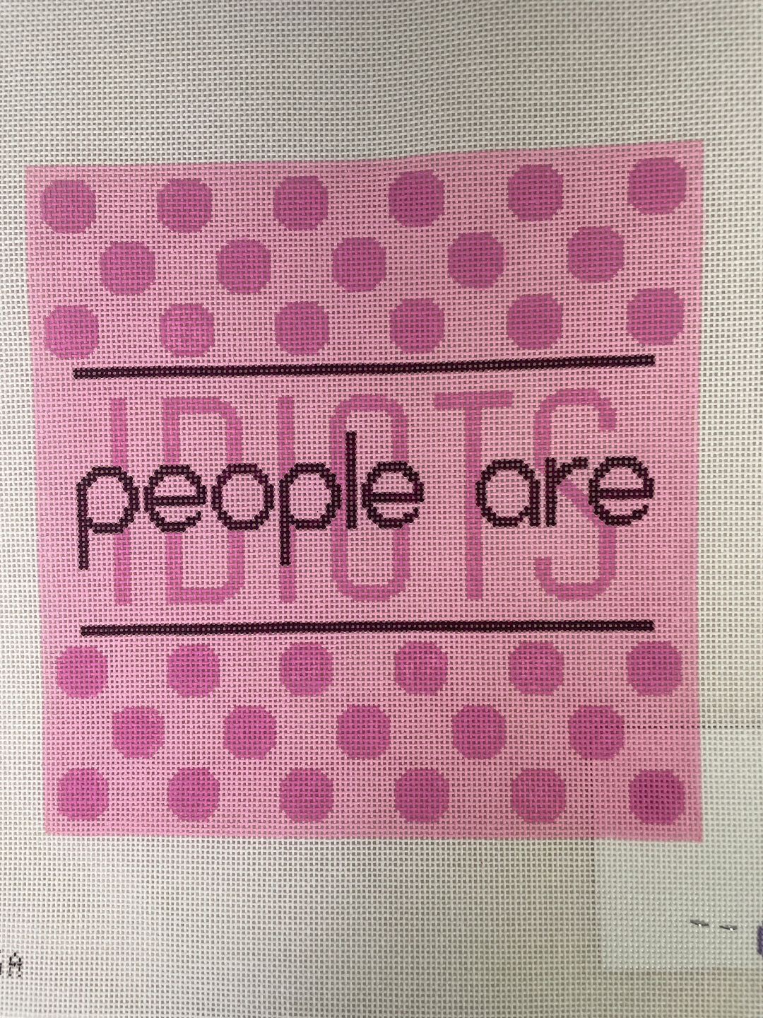 Flying Stitches Designs SA106A People Are Idiots - Pink