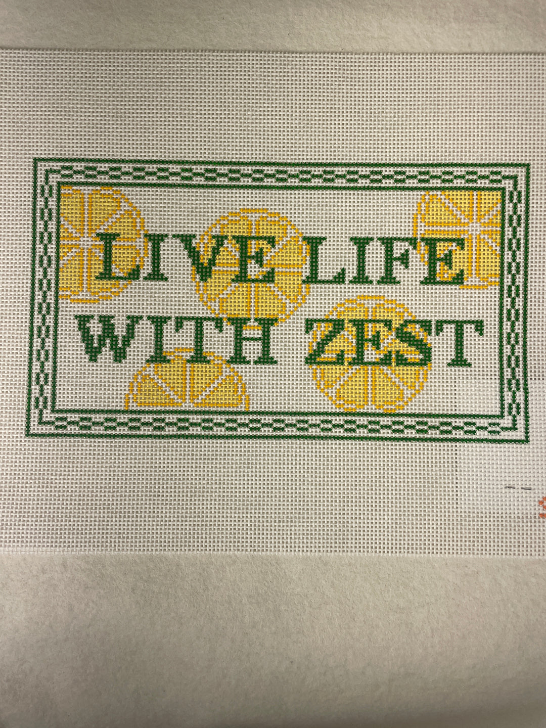 *Stitching with Stacey Needlepoint Designs Live Life with Zest
