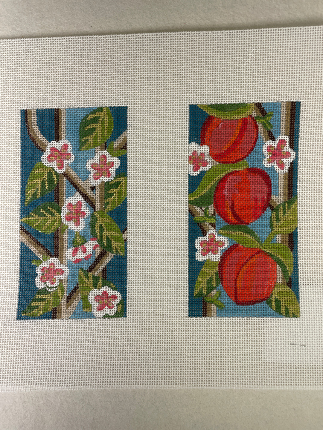 Alice Peterson 4814 Peach Eyeglass Case