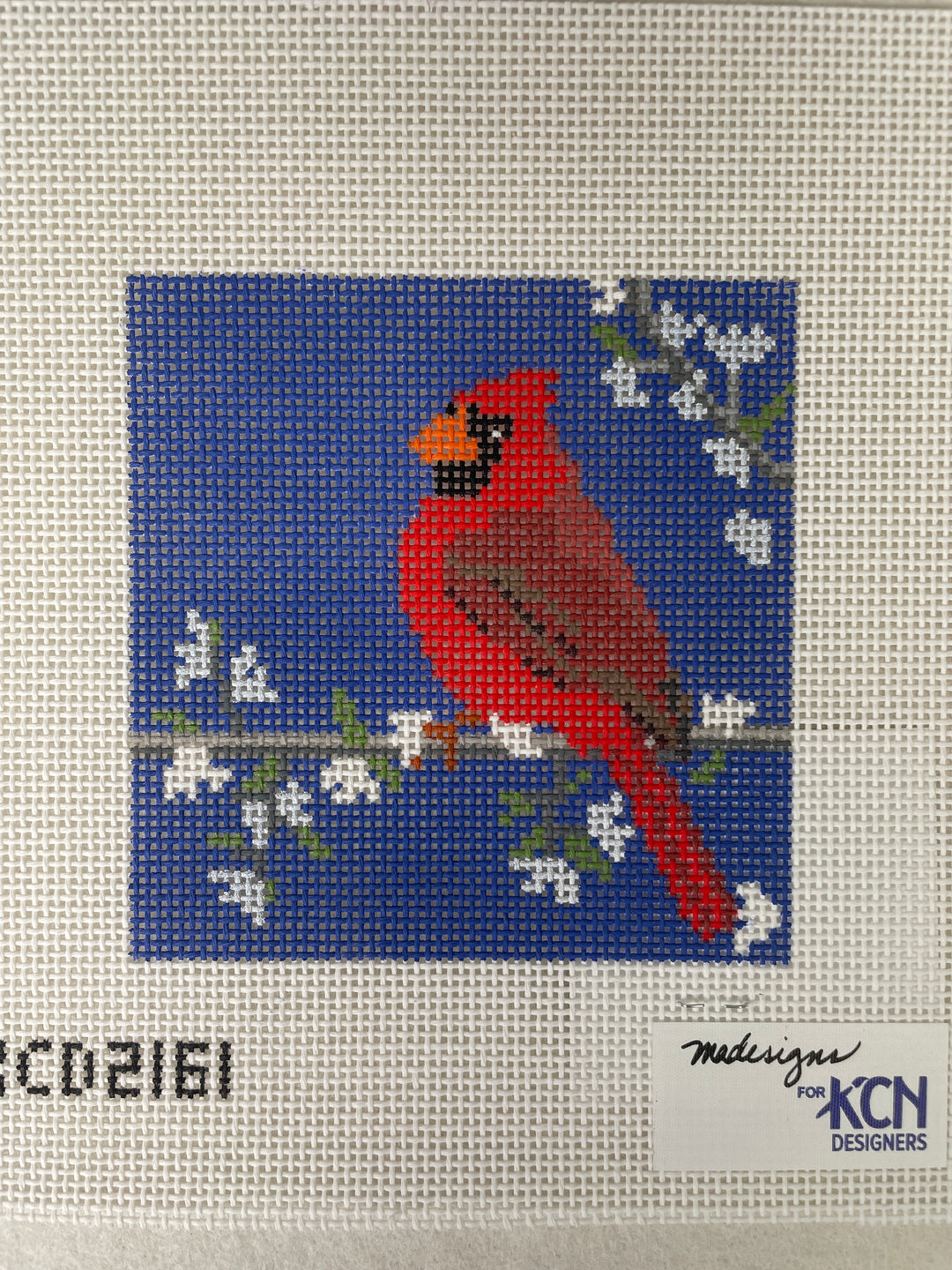 * KCD2161 Cardinal on Blue
