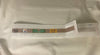 *Elm Tree Needlepoint Designs B536 Steelers with Terrible Towel Belt- Tan