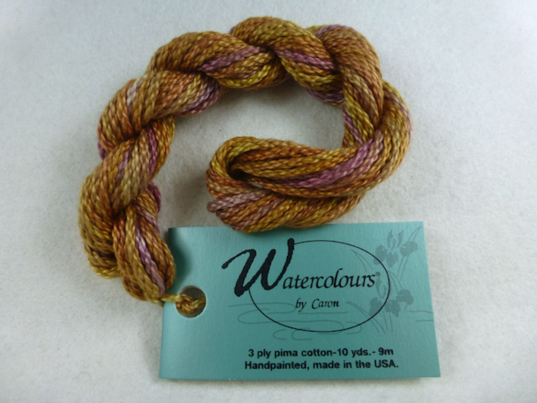 Watercolours 212 Burnished Coin
