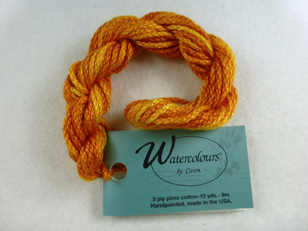Watercolours 280 Calabasa