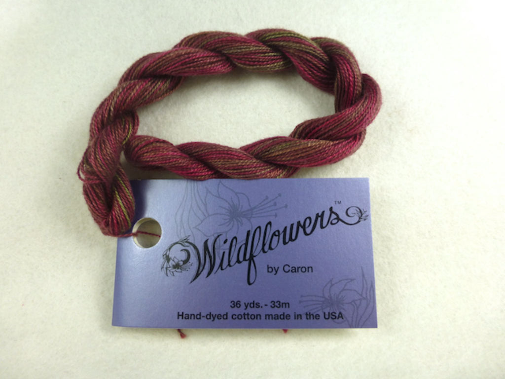 Wildflowers 058 Mocha Rose