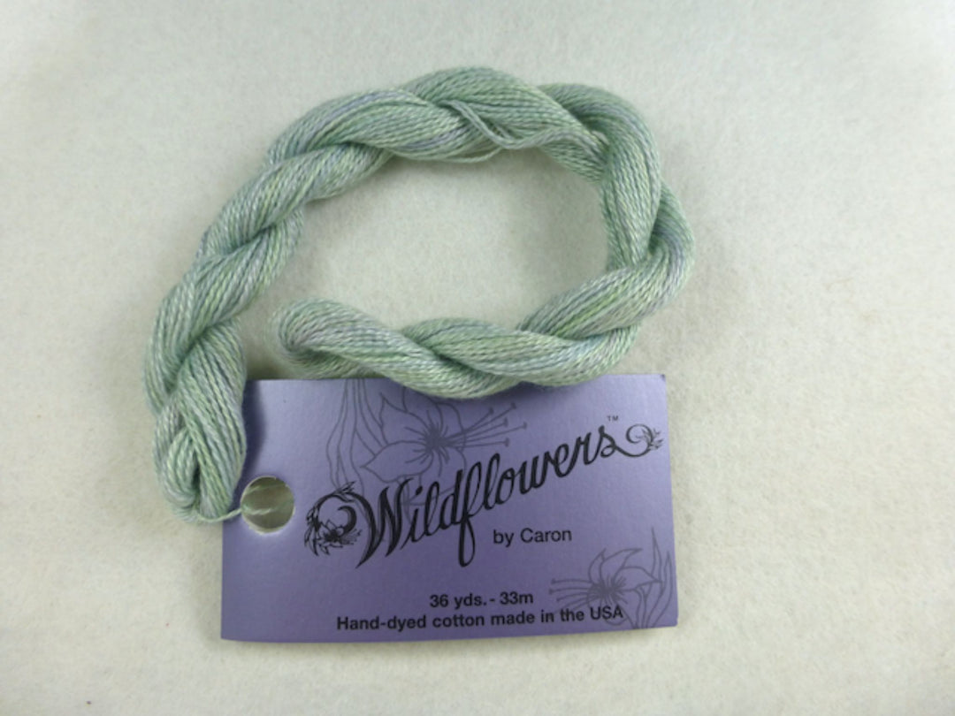 Wildflowers 112 Fir