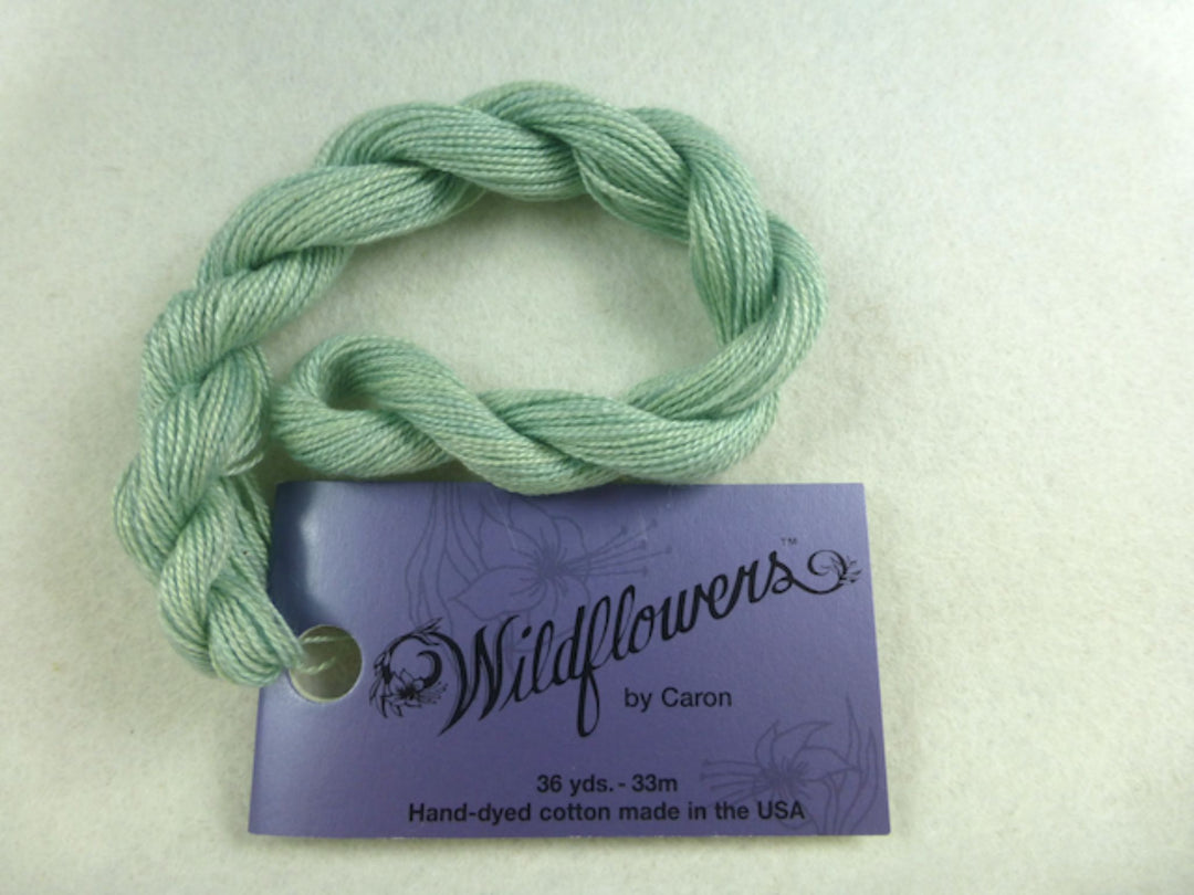 Wildflowers 125 Sage