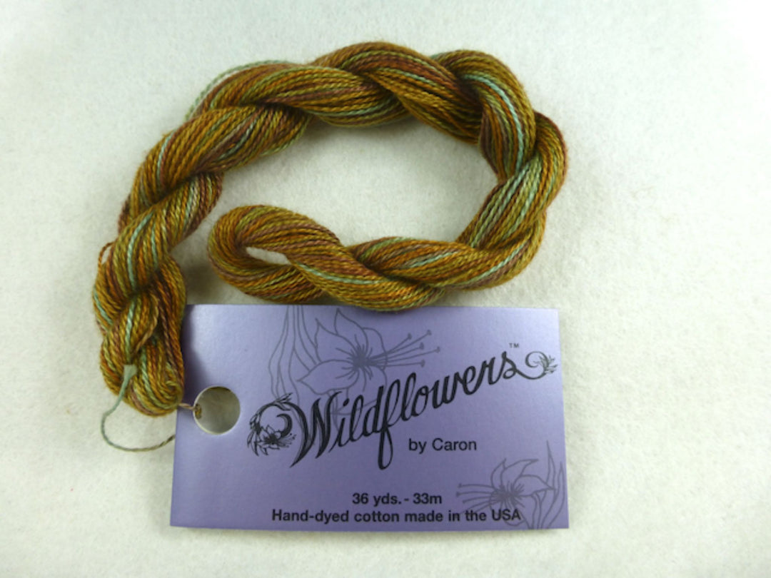 Wildflowers 139 Kelp