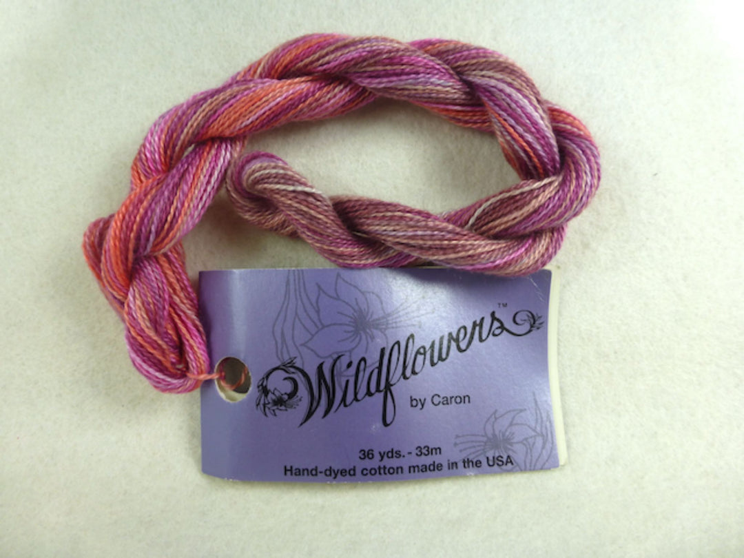 Wildflowers 190 Fraises du Bois
