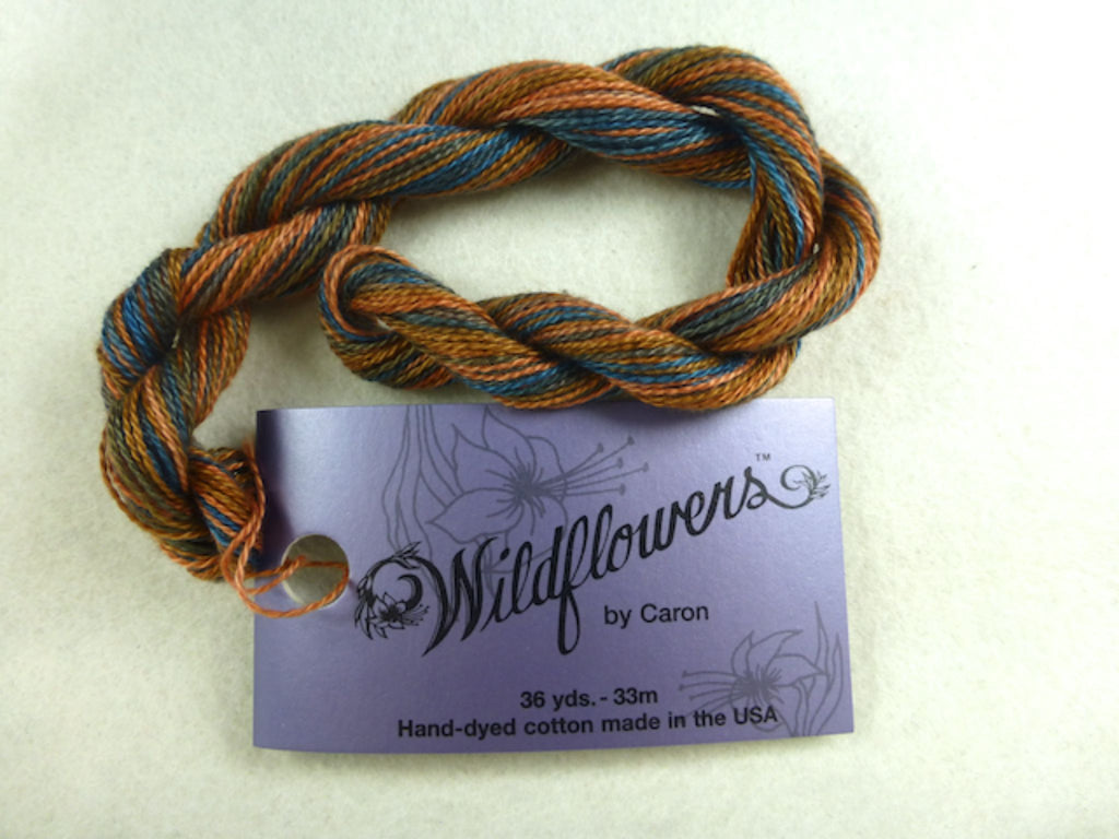 Wildflowers 198 Arroyo