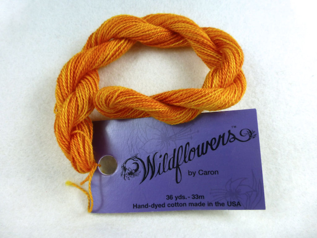 Wildflowers 280 Calabasa