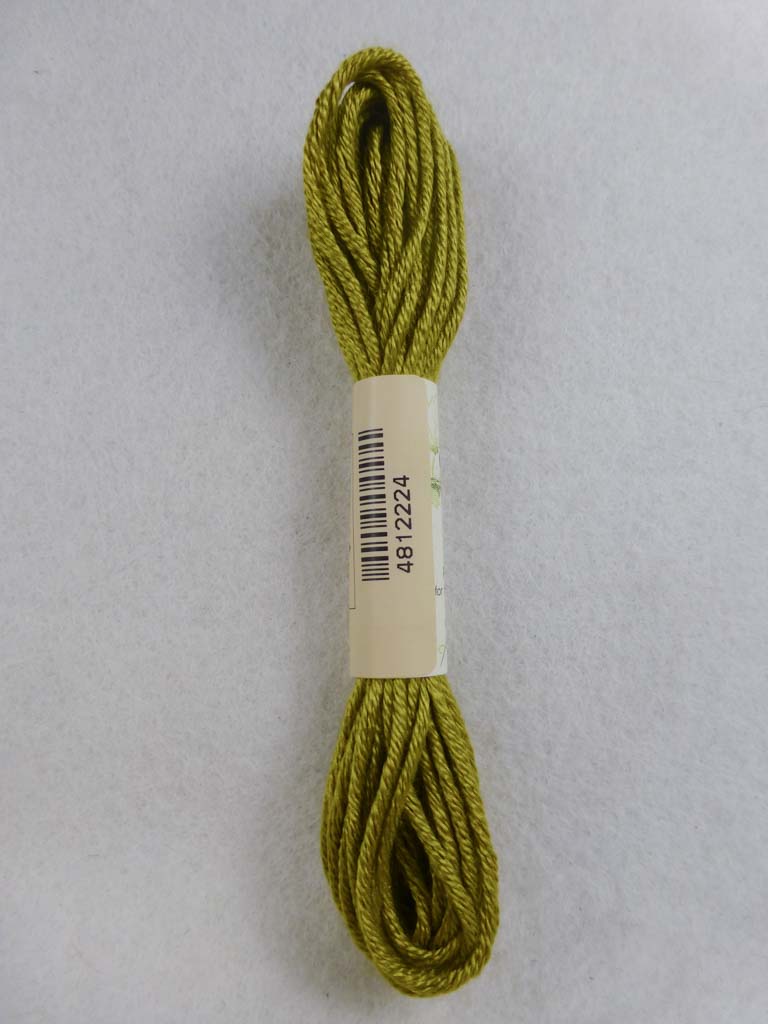 Soie d'Alger 2224  by Au Ver a Soie From Beehive Needle Arts