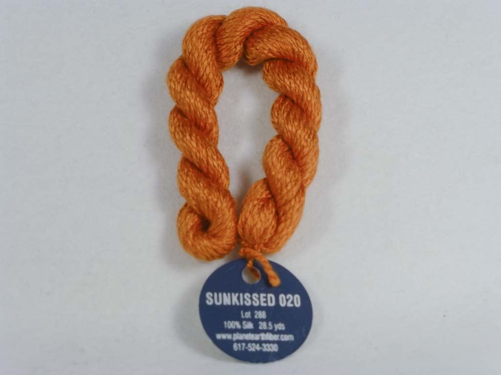 Planet Earth 020 Sunkissed by Planet Earth From Beehive Needle Arts