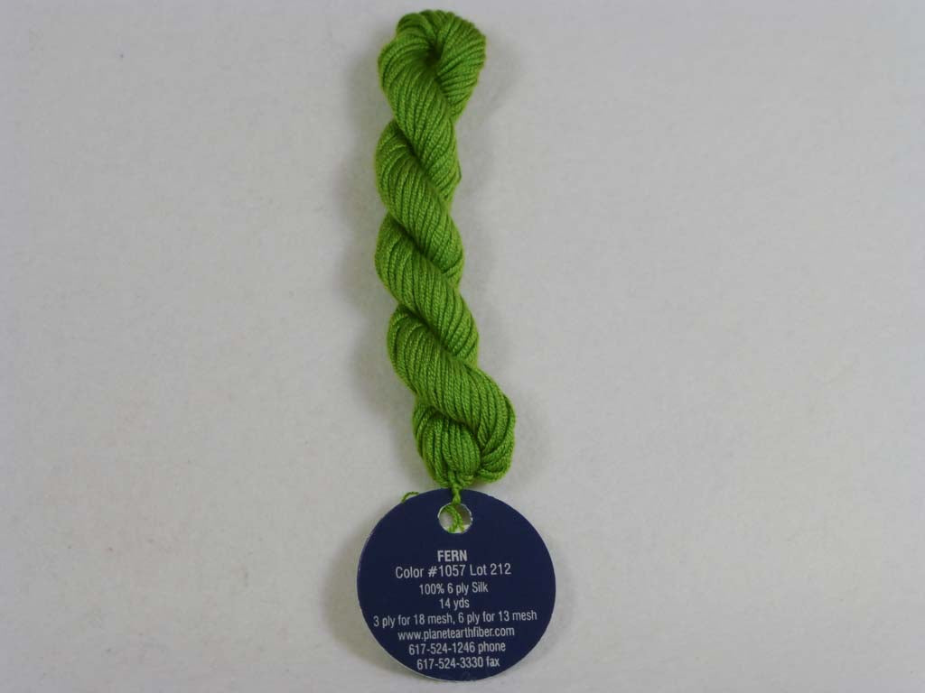 Planet Earth 6-ply 1057 Fern by Planet Earth From Beehive Needle Arts