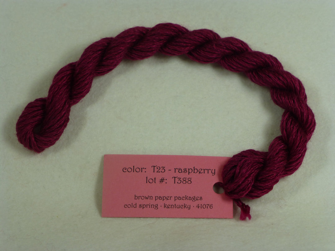 Trio T23 Raspberry